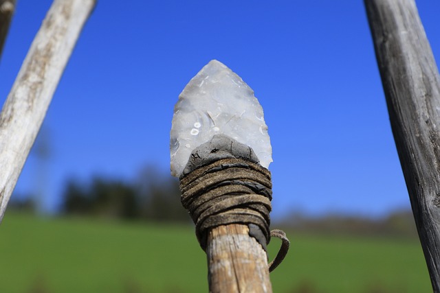 Experimental tests of Middle Palaeolithic spear points using a calibrated crossbow